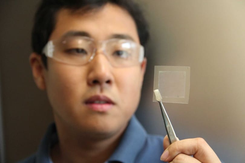 Egy kis nanotechnológia, és egy igen drága anyag főzhető ki a szójababolajból
