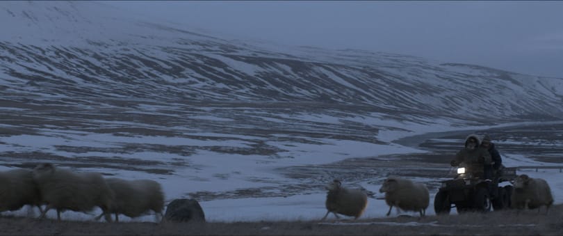 Ebben az izlandi gyöngyszemben minden benne van, amiért a skandináv filmért rajongani lehet