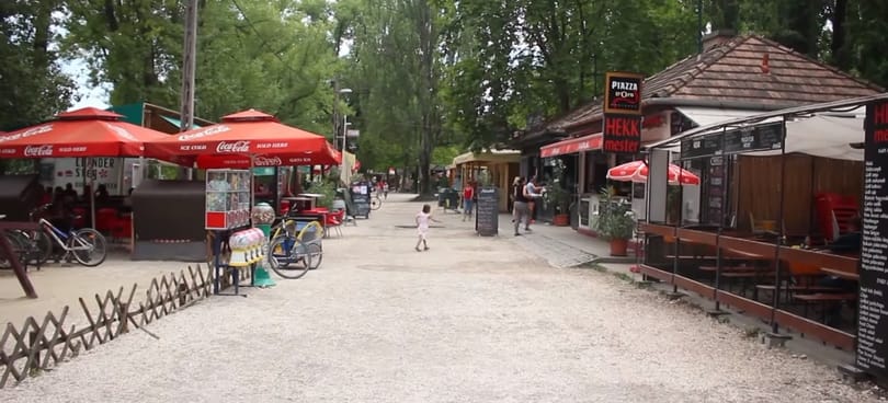 Hekksirató a Rómain: „Nem vagyok ellenálló, ha kell, bontok” - videó