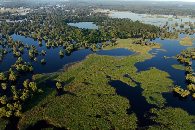 Van élet a fapadosokon túl: Európa Amazonasa és hipermodern múzeum az erdő közepén
