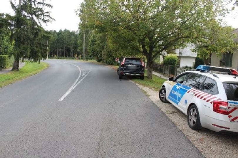 Hintóval elszabadult lovak okoztak balesetet Keszthelyen