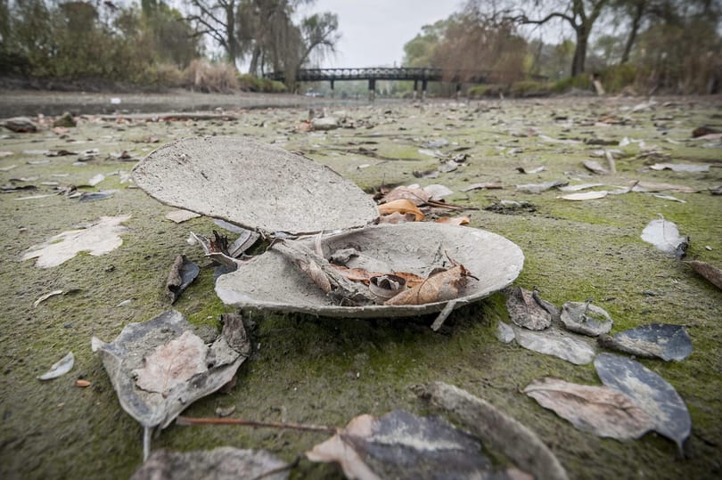 Fotó: így haldoklik egy debreceni tó