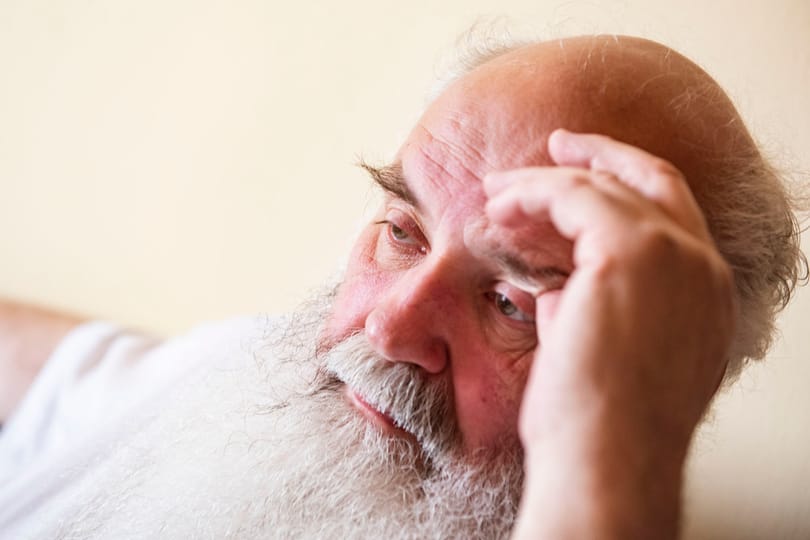 Iványi Gábor, Setét Jenő és Bogdán László is Wallenberg-díjat kapott