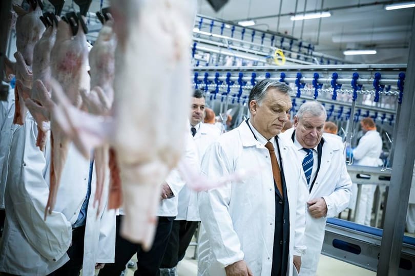 Orbán Viktortól kér segítséget a polgármester a Pannon Lúd bezárása miatt