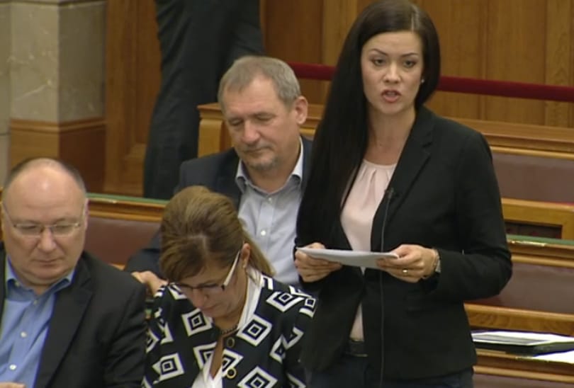 Keményen rávágta az ajtót az MSZP-re Demeter Márta
