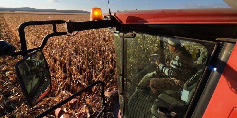 A korábbi pénz háromszorosára pályázhatnak a magyar agrártermelők