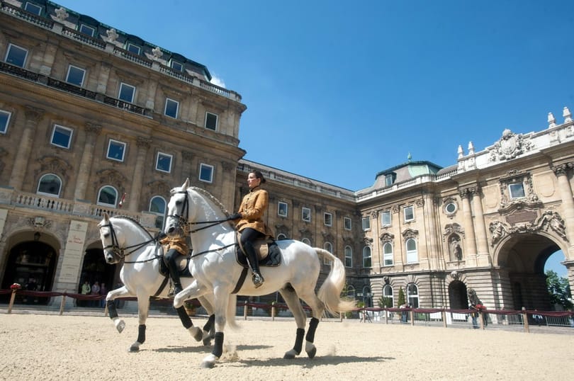 Orbán Viktor hamarosan elfoglalja Schmitt Pál helyét