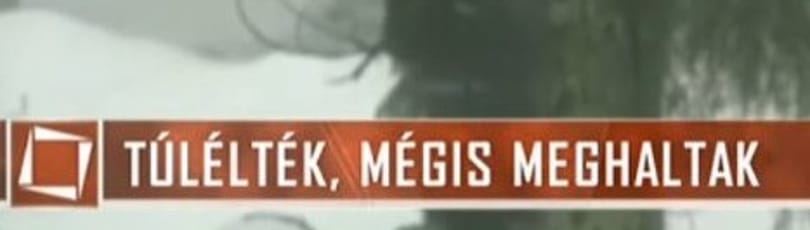 Itt az első mém az MSZP máris korszakos reklámvideójához
