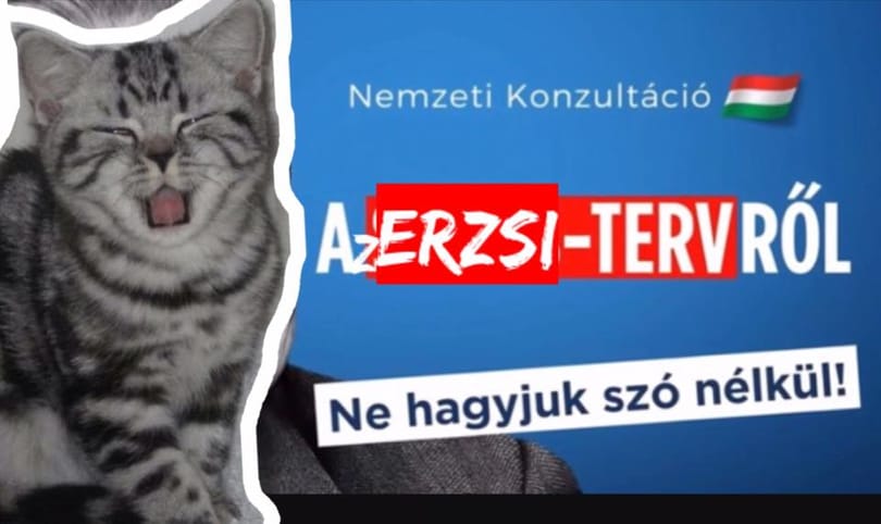 A közösségi média kedvenc macskája ismét állást foglalt politikailag