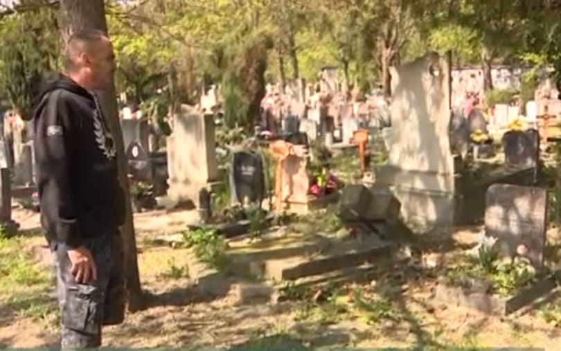 Eltűnt egy férfi szüleinek a sírhelye a Megyeri úti temetőből