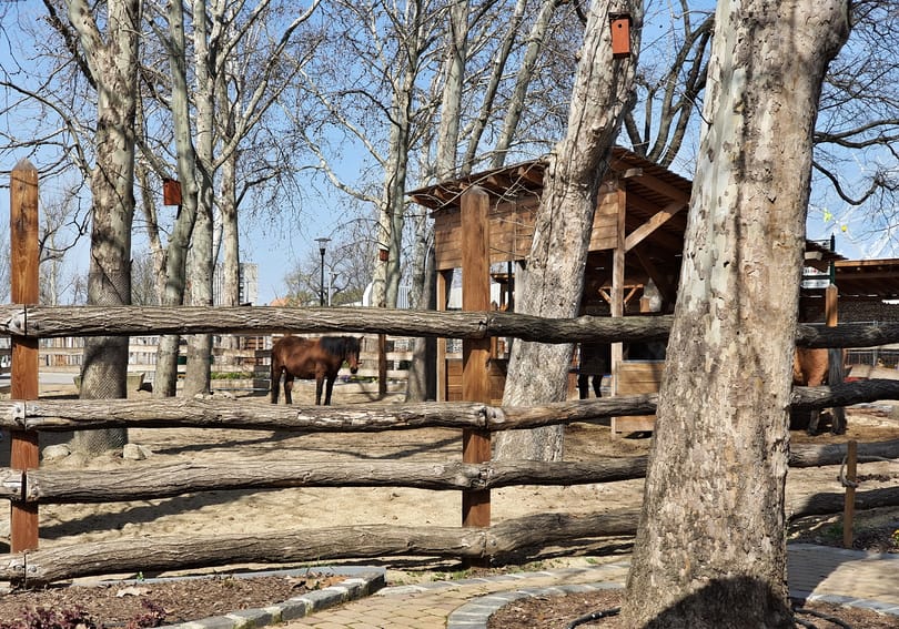 Városliget Zrt.: Ne jöjjenek a parkba!