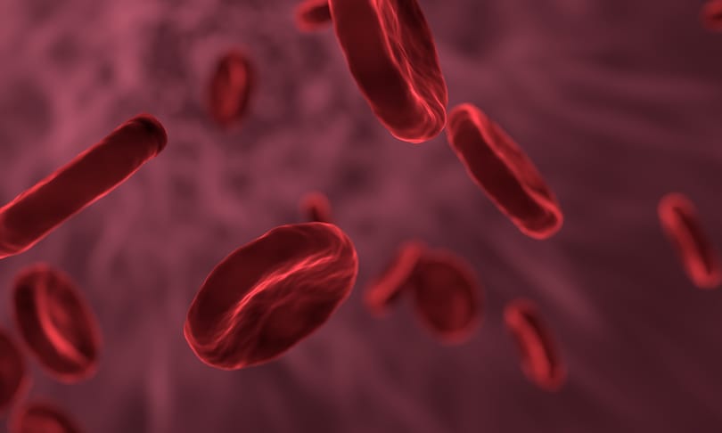 Átnézték 5 millió ember betegadatait, összefüggést találtak a vércsoportok és bizonyos betegségek kialakulása között