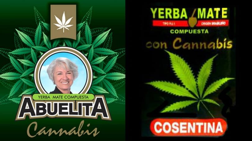 Suarezéknél a nagyi is ajánlja a kannabiszos teát