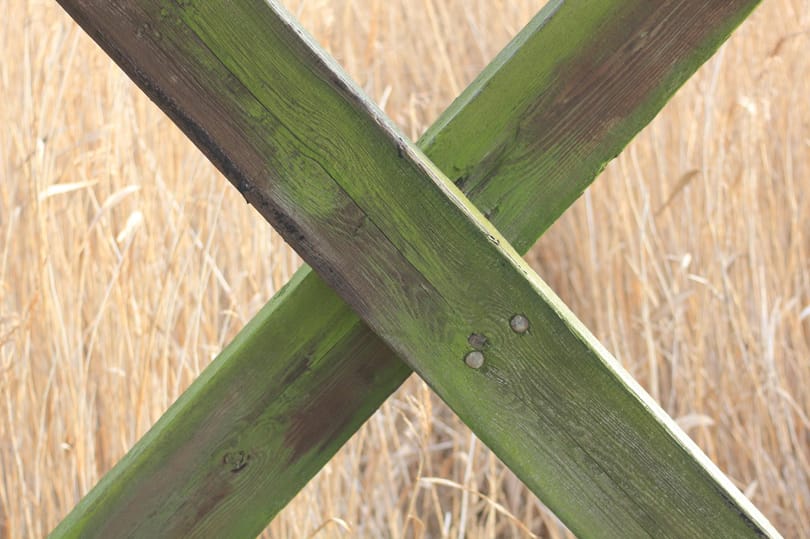 Ez történt: tízezrek vitáztak össze azon a neten, hogyan kell leírni az X-et