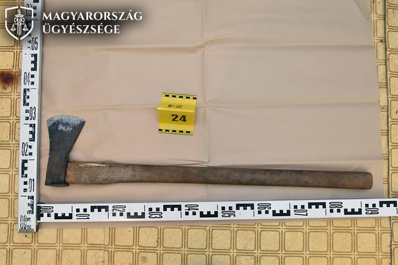 Baltával gyilkolta meg édesanyját egy 14 éves fiú