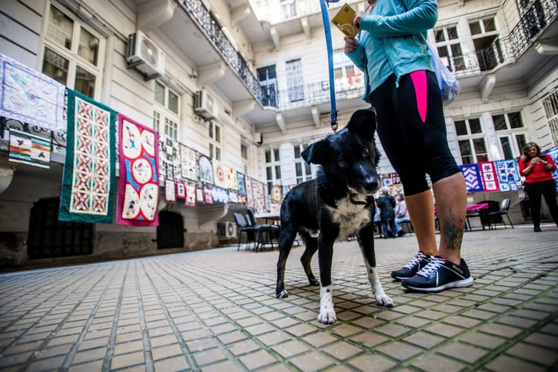 Budapest100: a Nagykörút után a rakparti házakba lehet majd bemenni körülnézni