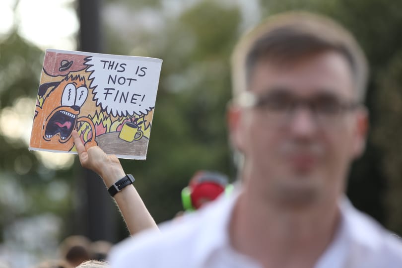 Megtiltotta a főváros jegyzője egy X. kerületi erdő kivágását