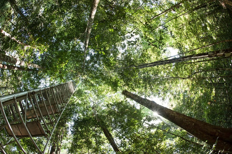Százezer forintot kapnak pluszban a vándortáboroztató tanárok