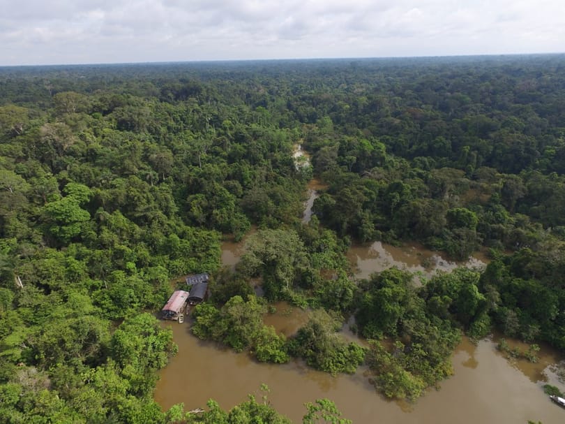 Egy hónap után találtak meg az amazonasi őserdőben egy nőt három gyerekével