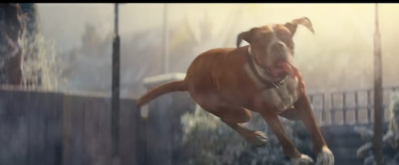 A boxer viszi a show-t az idei karácsonyi szezonindító John Lewis-reklámfilmben