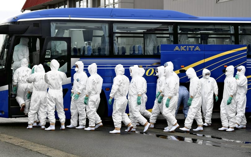 143 ezer csirkét kellett leölni Japánban a madárinfluenza miatt