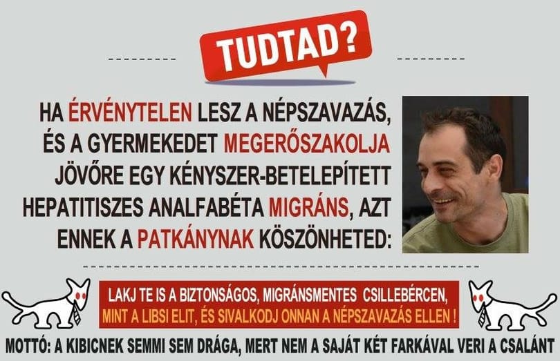 Kijátszotta a patkánykártyát a Kétfarkú ellen a visszafogott Bayer Zsolt
