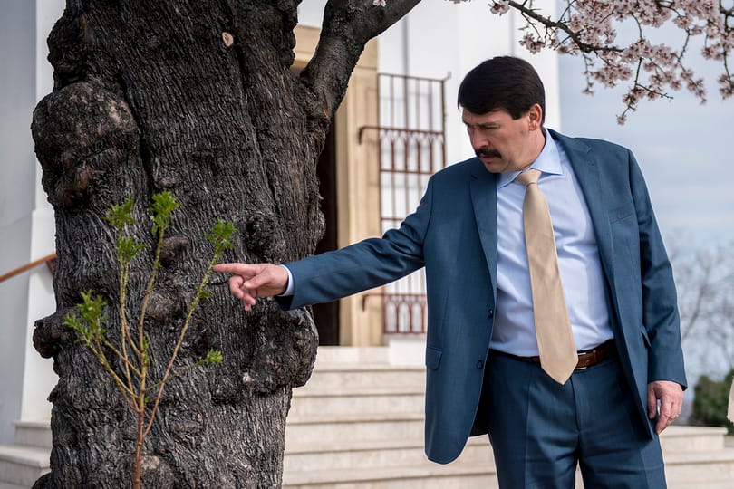 Áder szerint a klímaváltozás üzleti lehetőségnek is tekinthető