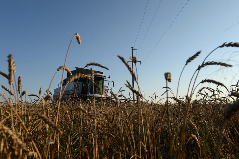Most valamiért nagyon fontos lett az agrártárcának, hogy törvénnyel tiltsa a földadót