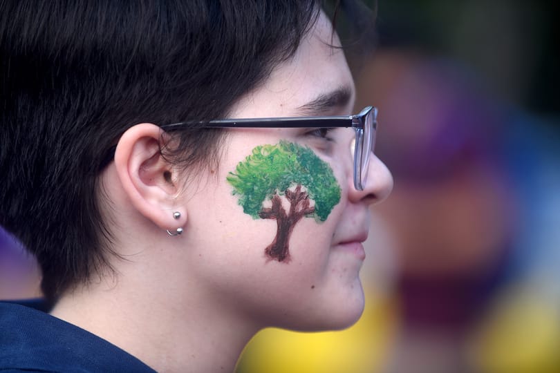 Álmodozásnak tűnik, de ártani nem árt, talán segíthet is a közösségi erdőtelepítés