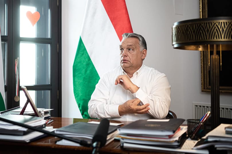 Tóta W.:Mr. 50 százalék