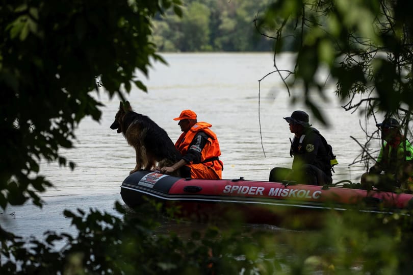 Ledobta a rendőrség a cukiságbombát