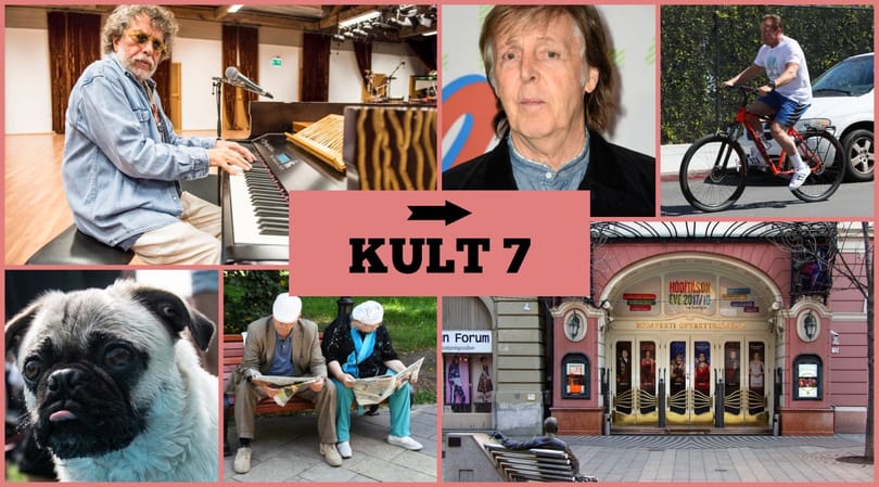 Fura adalék a Beatles-sztorihoz, betiltanak egy kiskutyát - olvasta ezeket? Tesztelje!