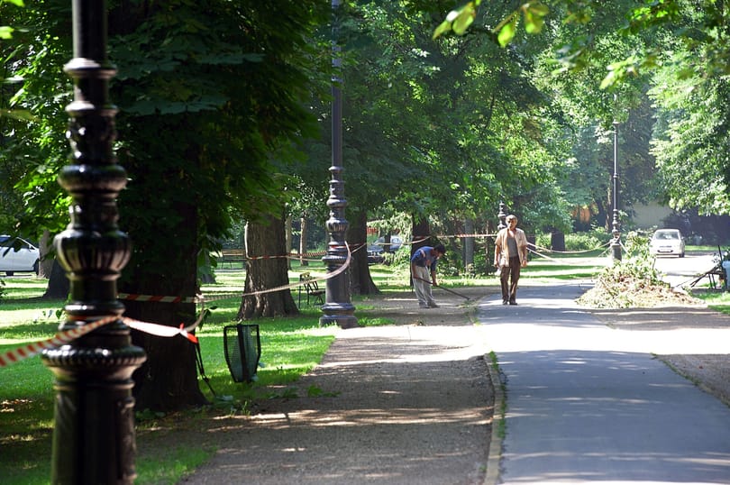 Zsíros falathoz juthat Orbán apjának cége a Margitszigeten
