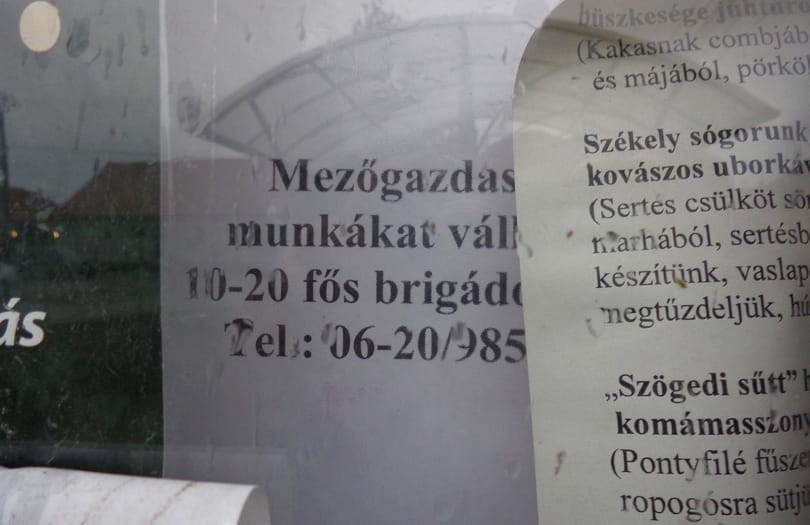 Van munka, hát, jöttünk – romániai napszámosok Magyarországon