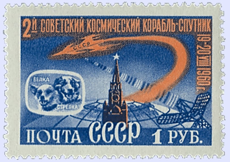 Kutyák, egerek, tengerimalacok, majd Gagarin