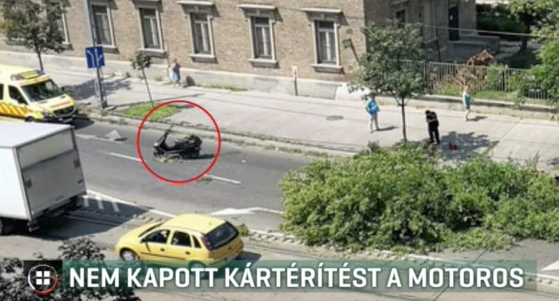 Eltört a motoros gerince a rázuhant vastag ágtól, 22 milliós kártérítést kér