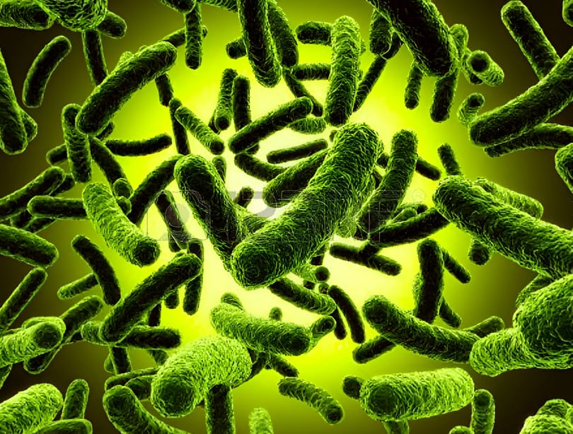 Mintát vettek a Jeges-tenger mélyéről, újfajta antibiotikum-alapanyagot találtak ott