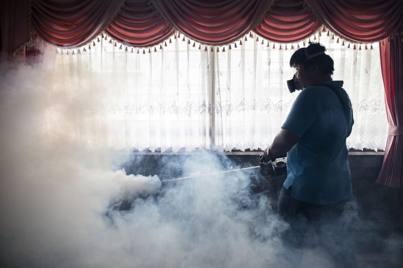 Pestissel diagnosztizáltak egy gyermeket Amerikában