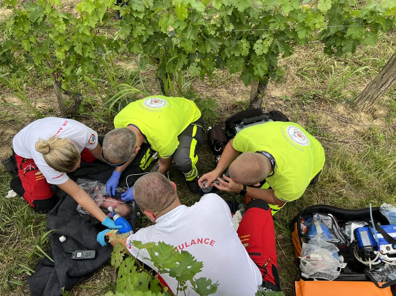 Meghalt a márfai szőlőhegyen magára hagyott újszülött