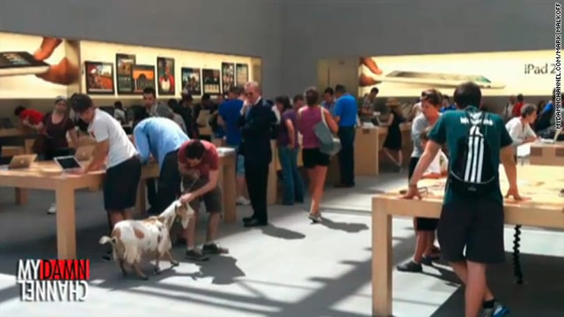 Besétált egy kecske egy Apple boltba