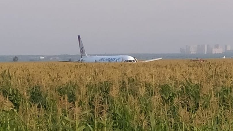 Madarakkal ütközött egy orosz repülő, kukoricaföldön tette le a gépet a pilóta – videó