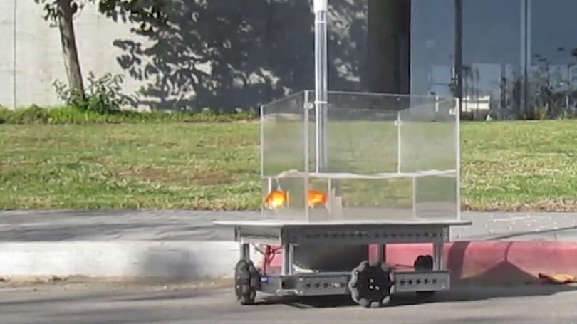 Aranyhalaknak építettek autót a tudósok, hogy megnézzék, hogyan tájékozódnak a szárazföldön – videó