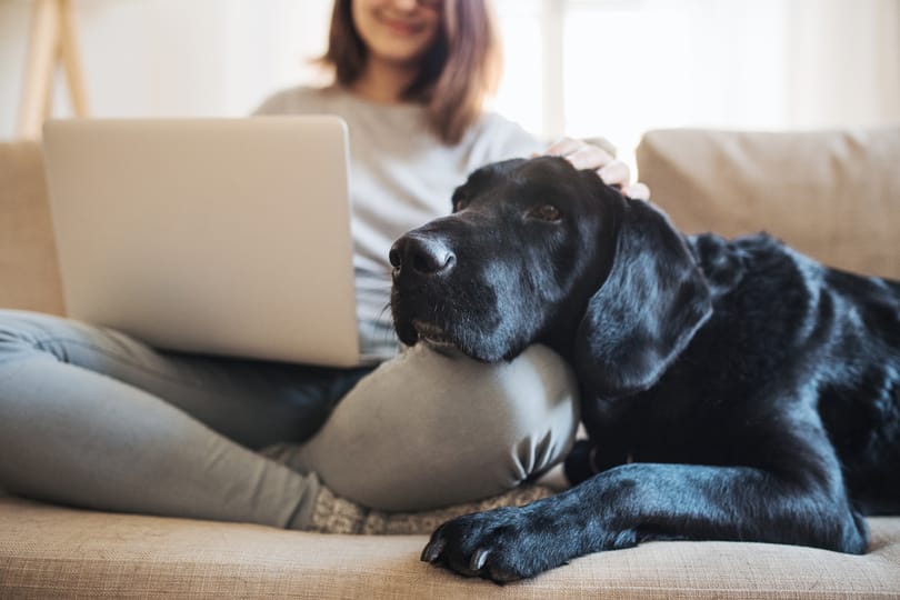Így válunk alkalmassá az új munkahelyre, miután felmondtak nekünk