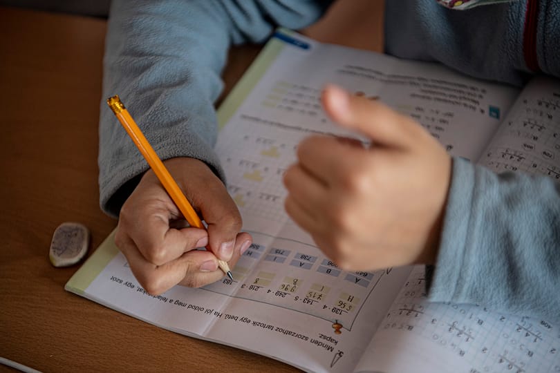 PSZ-elnök: A pedagógustársadalom a végét járja, csak „egy szikra kell”