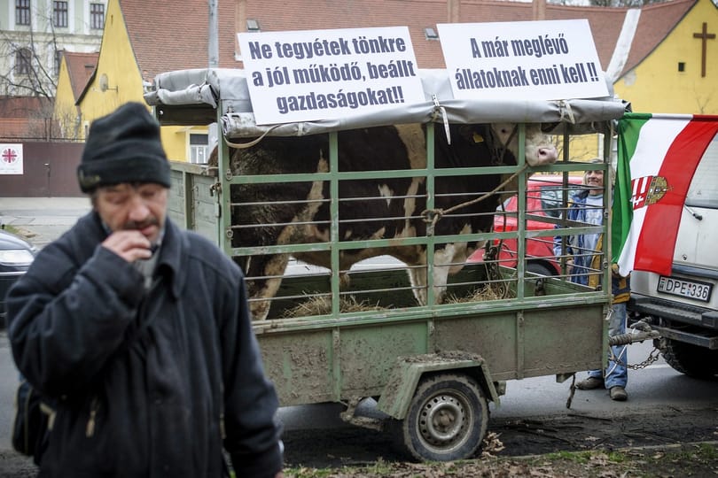 Fotók: gazdák tüntettek a földmutyi ellen Debrecenben