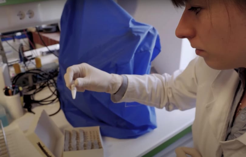 A Reuters is beszámolt a magyar cégről, amely a vakcinakutatásban jeleskedik