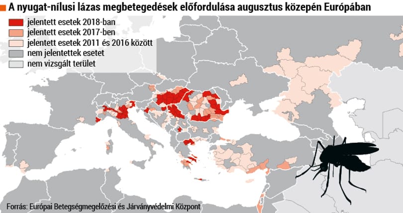 Lázas semmittevés