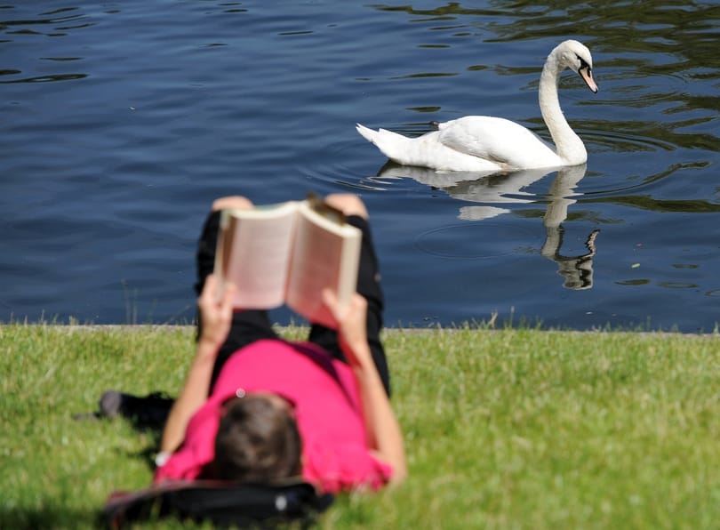 Feldmár, Törőcsik, Salinger: 11 könyv, amit ne hagyjunk ki