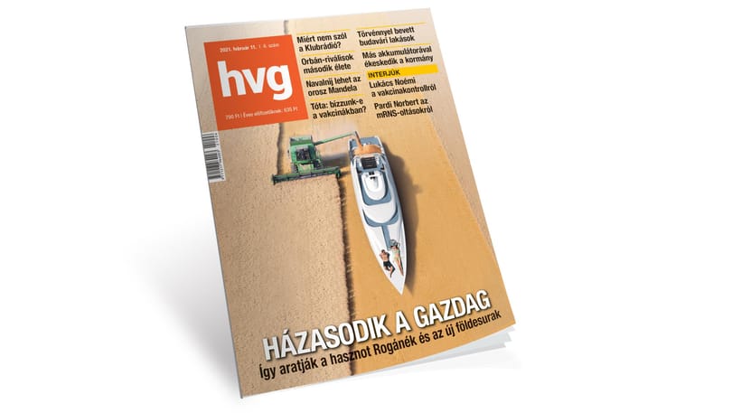Kocsis Györgyi: Földre szállt angyalok
