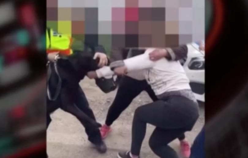 Lökdösődéssé fajult a rendőri igazoltatás Kerepesen – videó